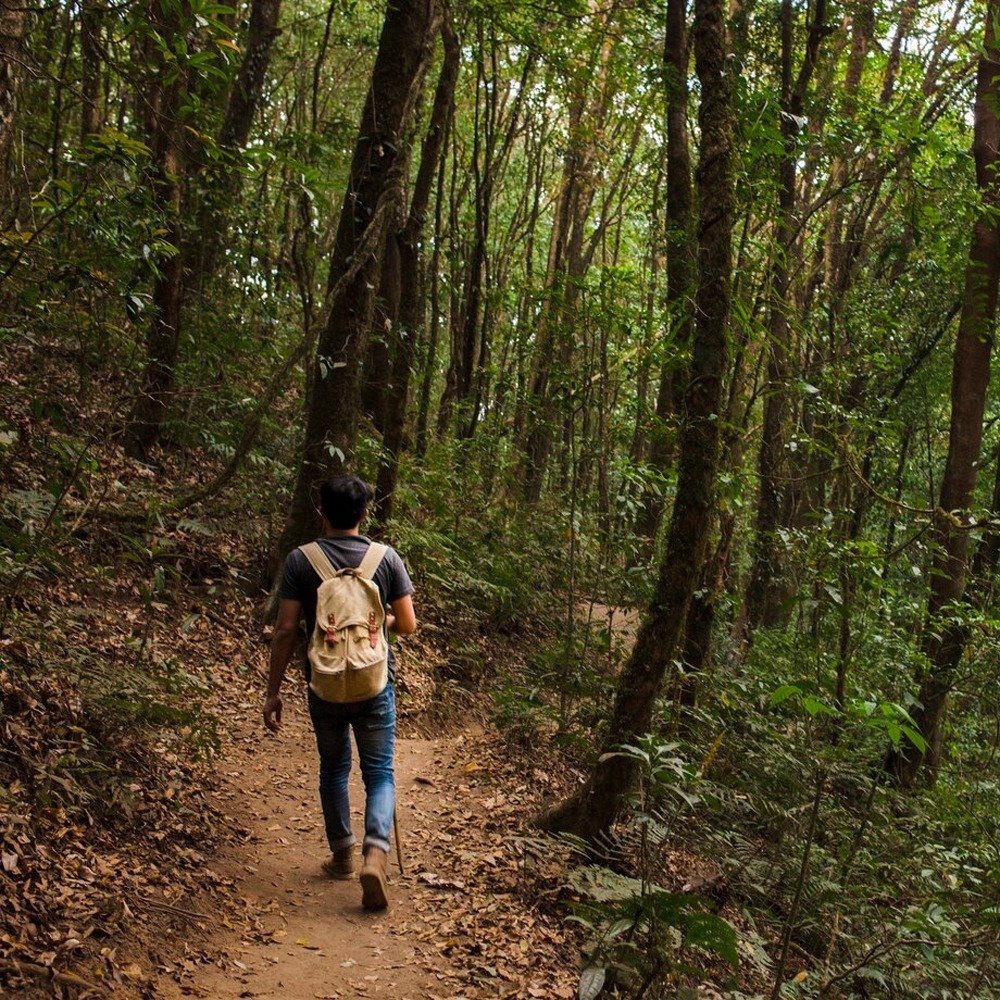 Nature Walks