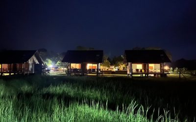 caption (14)